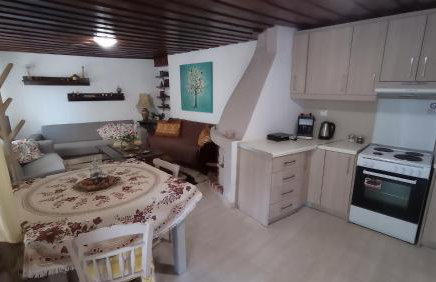 VillaTzer - Traditional house with fireplace and garden - Foto 4