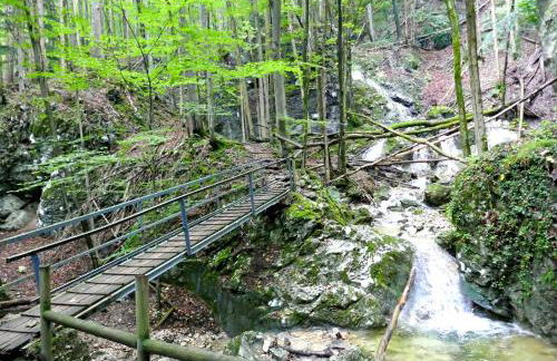 Landhaus Falkennest - Foto 8