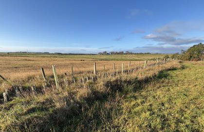 Smiddy Cottage - Foto 21