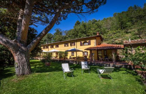 Podere Casalino - Foto 31