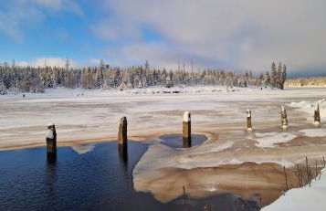 Ferienwohnung Schwarzer Hirsch - Foto 27