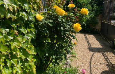 Le Clos de l'Eglise - Inès - Foto 8