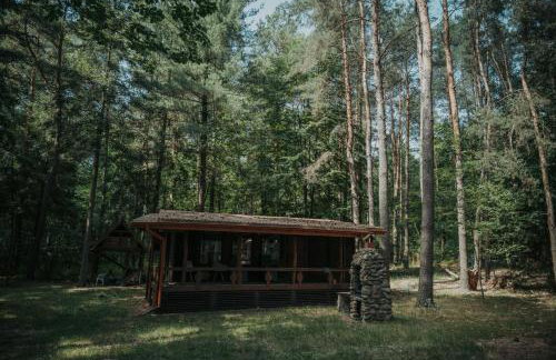 Forest Cabin - 50min od Warszawy - Foto 1
