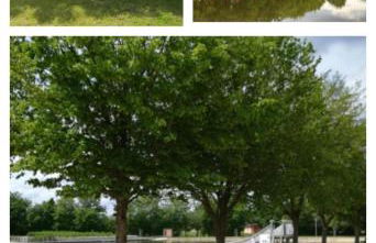 ruhiger als im Hotel, keine andere Gäste - Foto 54