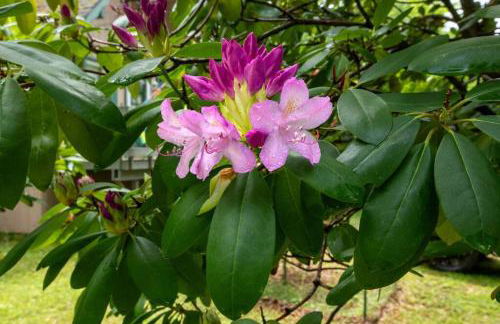 Lakefront with Lots of Light and Private Dock Access - Foto 12