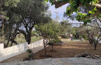 Chrysa's cottage house - Foto 9