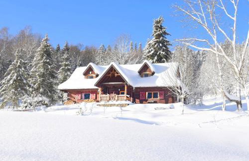 Górskie Siedlisko - 3 Chaty - Foto 8