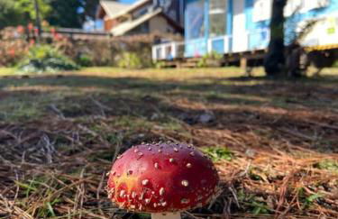 Blue House em Condomínio Fechado - Foto 23