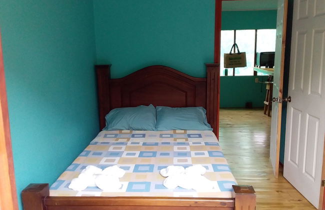 Drake Lapas - Foto 8