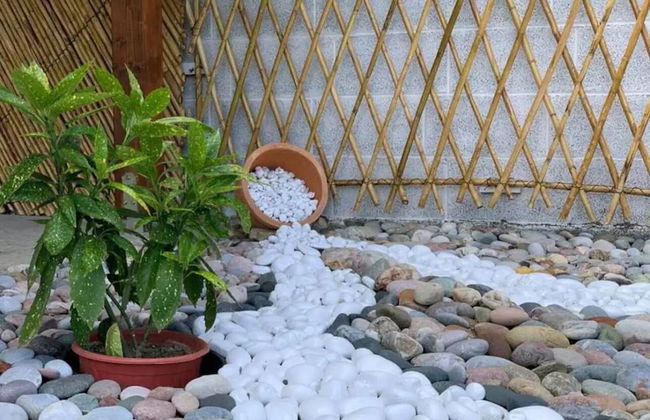 Entire unit near beach access to garden - Photo 16