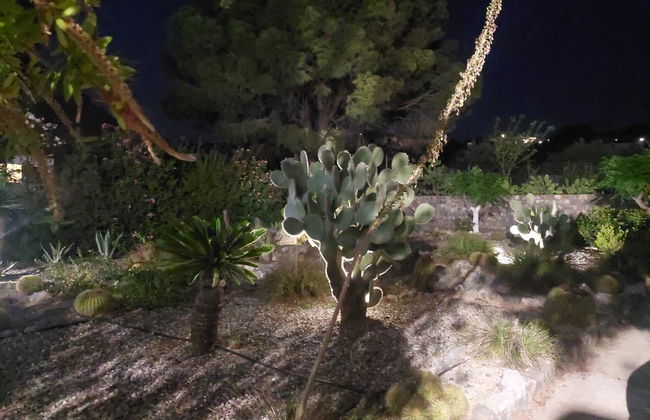 George Beach Studios - Foto 12