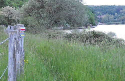 Gîte 11 pers., charme rural, internet, animaux admis - FR-1-496-86 - Foto 8