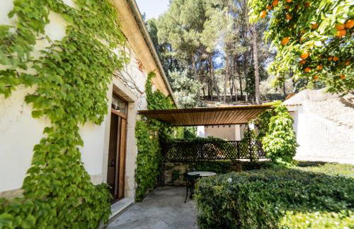 Alfabia Nou Agroturismo - Foto 29