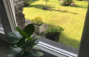 Apartment, parterre, für 3 Gäste, Zentral gelegen, Mitsubishi Halle - Foto 15