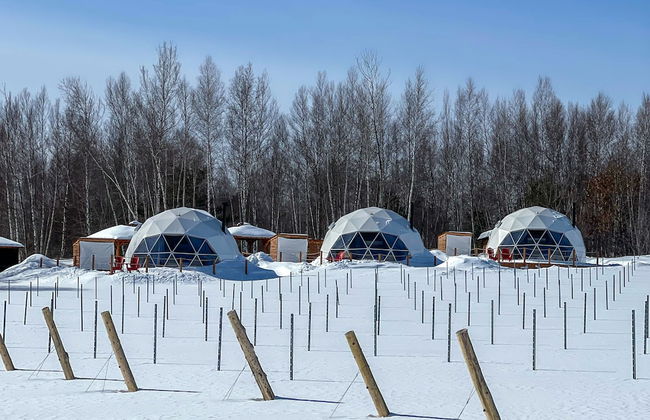 CAMPagne au Clos Sainte-Thècle - Foto 31