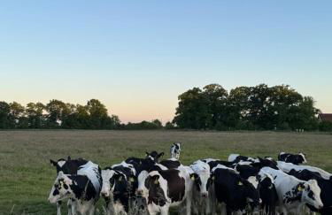 Ferienwohnung Siebenbergen - Foto 10