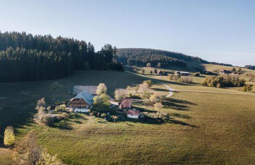 Sigmundenhof Schonach - Foto 1