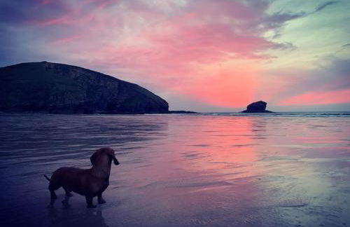 Beach Lovers Paradise in Portreath - With Sea Views & Log Burner just 100m from beach - Photo 7