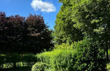 Portego mio - Foto 11