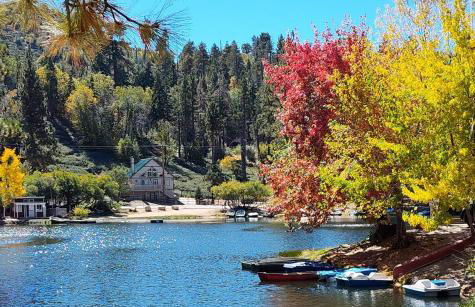 Snow Bunny Cottage, Pets Welcomed! - Foto 28