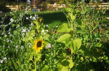 Gästehaus Maria Rast - Foto 51