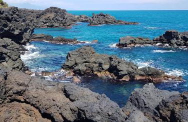 La casa dei Capperi - The house of capers 1 - Foto 9