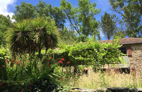 O Muíño da Balsiña - Foto 43