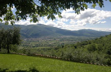 Casale degli ulivi - Foto 19