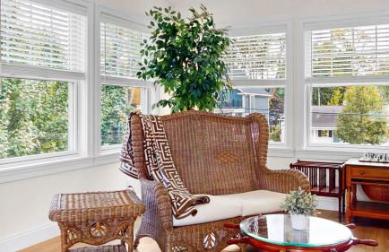 Lamb Guest - Foto 35