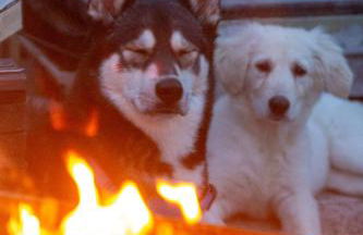 Zum Windfeld - Foto 42