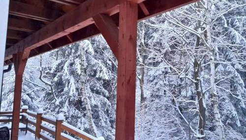 Borówkowa Dolina - Foto 2