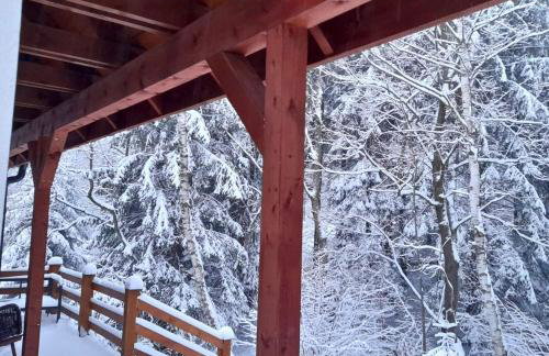 Borówkowa Dolina - Foto 2