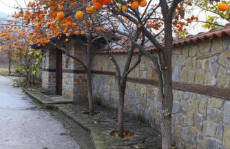 Villa Luxury Paradise Kastoria - Foto 3