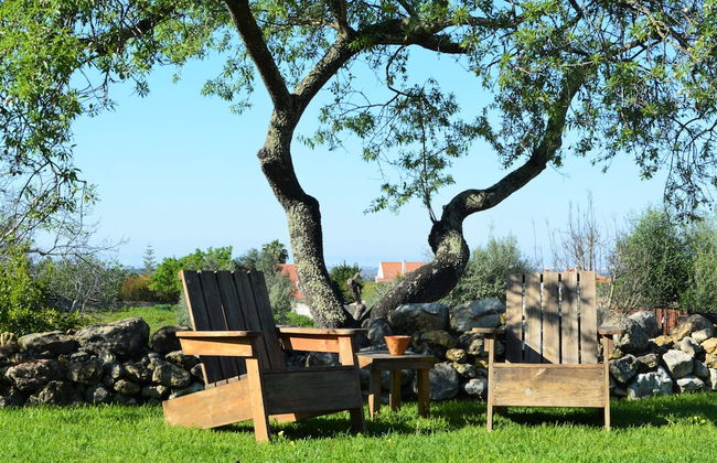 Quinta do Tio Viagem - Foto 44