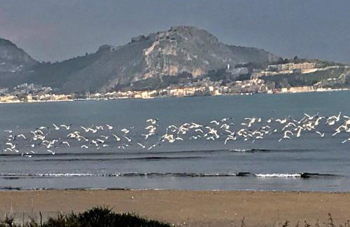 CASA LELA 3...HYDRA - Photo 19