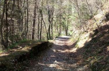 Vista Panoramica - Comfort e Serenità a Valgoglio - Foto 9