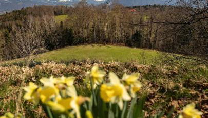 Ferienwohnung auf dem Högel in Piding - Foto 5