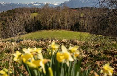 Ferienwohnung auf dem Högel in Piding - Foto 5