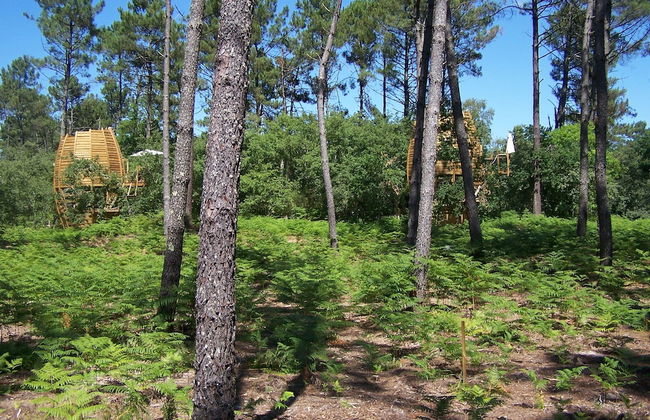 Cap'Cabane - Foto 21