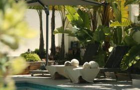 Marbella Bliss - Serenity 4-Bedroom VILLA with Exclisive HEATED Private POOL & Jacuzzi, Tropical Garden, Marbesa - Steps from the Cabopino Beach - Photo 32