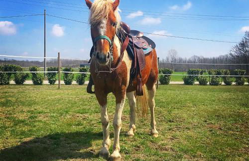 Agriturismo La Biandrina - Foto 113