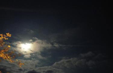 Doma Menidi Rooftop Apartment - Foto 41