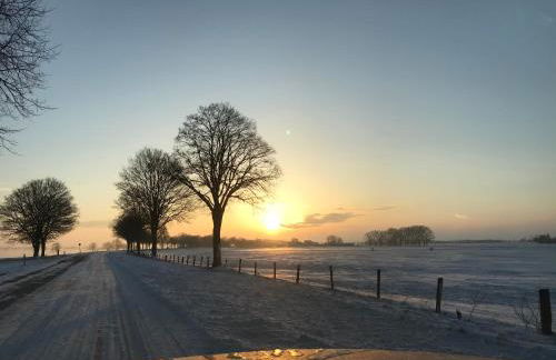 Königsgut Emmericher Eyland - Foto 49