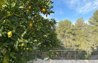 Villa Avril piscina privada y amplias terrazas - Photo 16