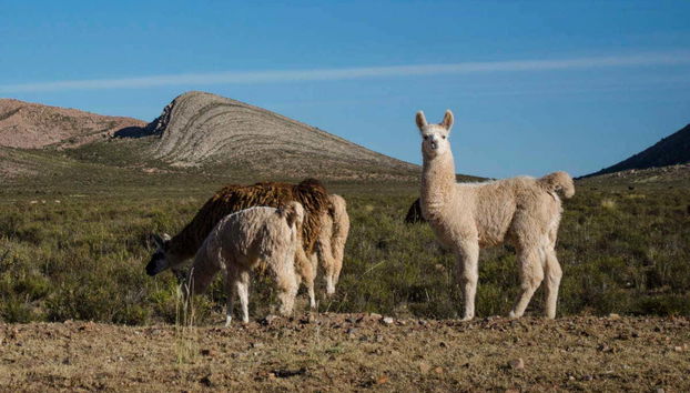 Paisagens naturais de Yavi