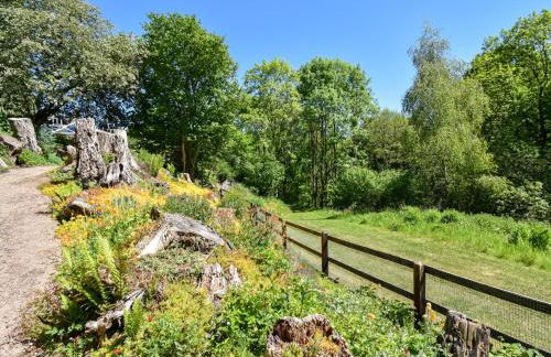 4 Bed in Newtown 48641 - Foto 37