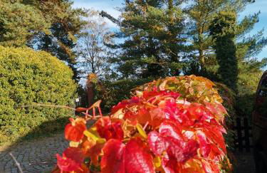 Silent Hill House - Foto 28