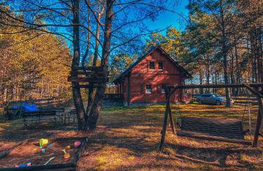 DOM w BORACH - Foto 7