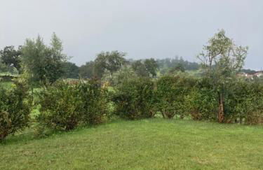 Casa do Monte - Esperança - Foto 6