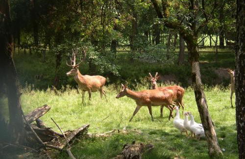 The LP apartment - Foto 11